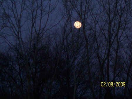 Full moon over pond...