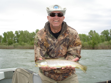 South Fork trout