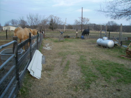 The boys at feeding time