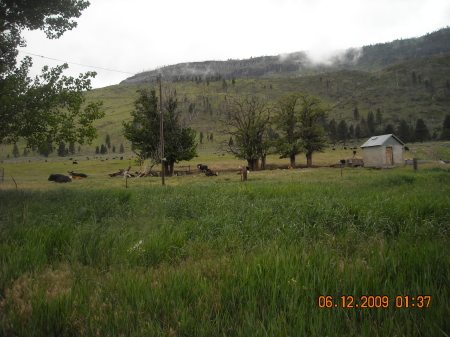 Our old "homesite" Summer Lake, OR 06/09