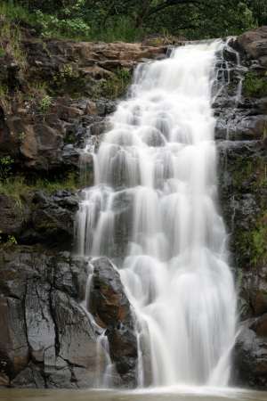 waimea falls 004