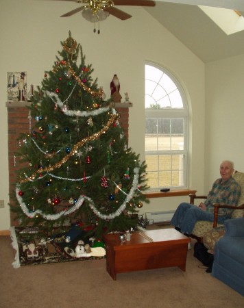 Christmas Tree 2006