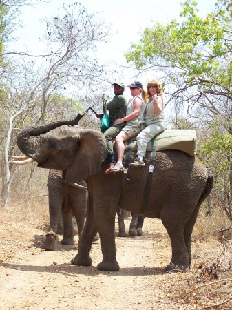 Riding elephants in South Africa!
