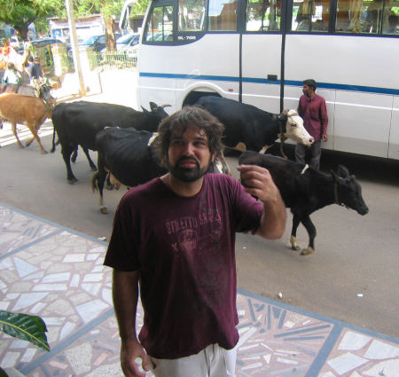 India is Full of Cows