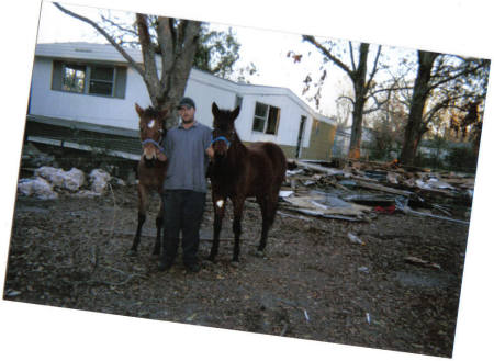 John and our horses