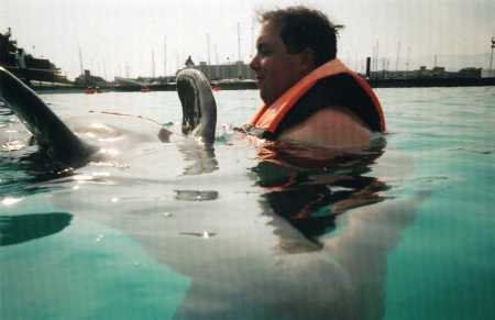 Swimming with Dolphins in Puerto Vallarta