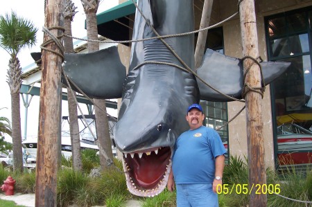 2006 DESTIN