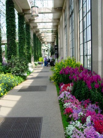 Longwood Gardens-Botanicals