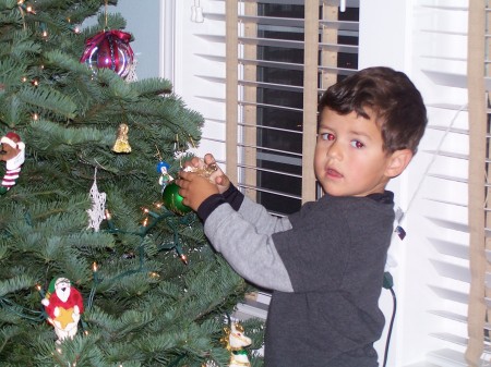 Decorating the Christmas tree