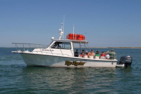 Monomoy Island Ferry/ Seal Cruises Cape Cod