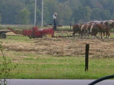 our neighbors across the road, working the fields