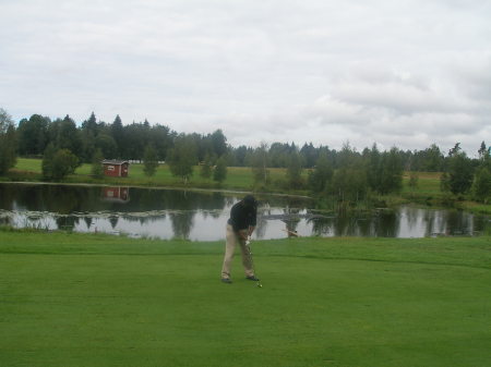 Golfing In Sweden