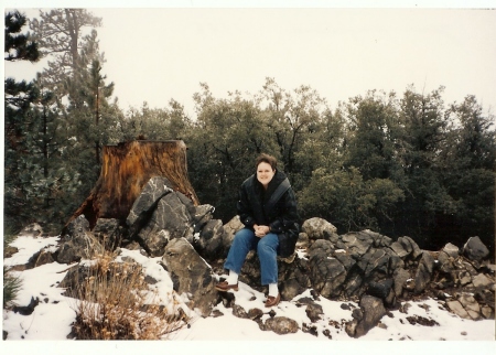 A cold day in the San Gabriel Mountains