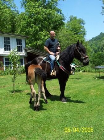 on my draft horse "Big Old Betsy" and her foal