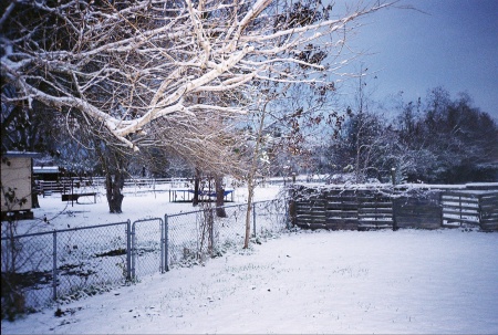 Christmas Morning 2004