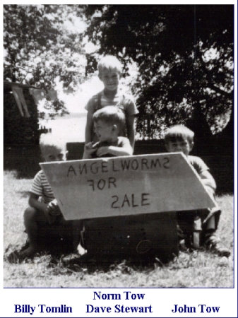 Angle Worms For Sale - An early business venture