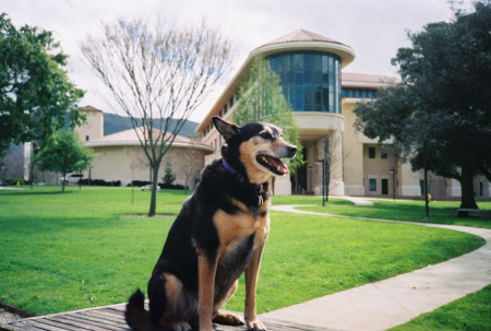 Buddy Goes to Cal Poly