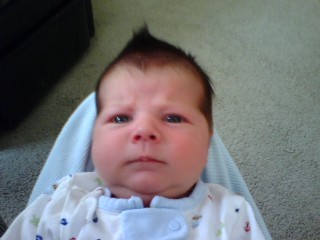 My punker nephew...rockin' the hawk