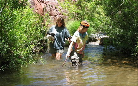 Haigler Creek, Arizona