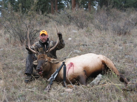 Bull Elk 2007