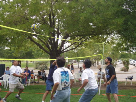 Volleyball