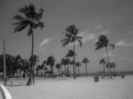 Fort Lauderdale "taking a break" after work.