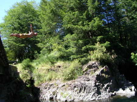 Bridge Diving