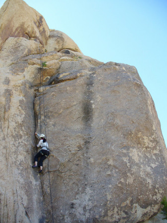 5.10 joshua tree