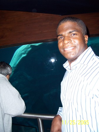 At Georgia Aquarium