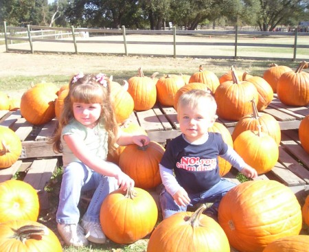 Pumpkin patch 2006