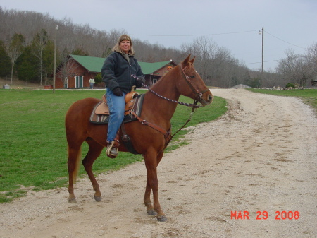 My quarter horse Missy