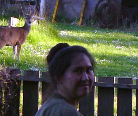 Deer in the back yard, with my dear