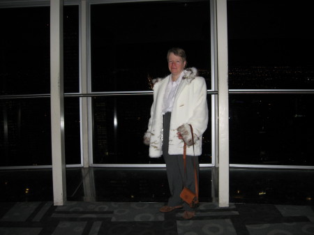On the platform at the Calgary Tower