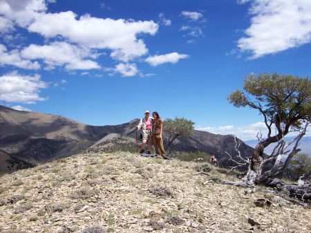 Arc Dome Wilderness, Nevada