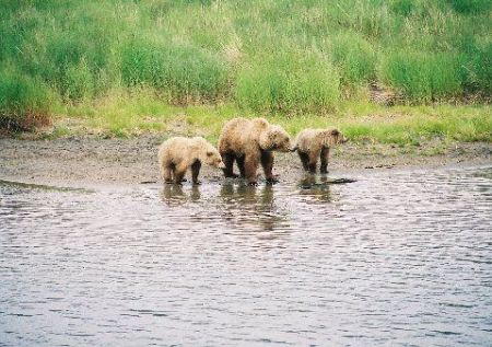 MOM with Cubs