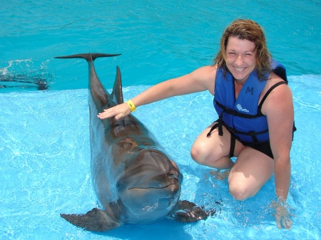 swimming w/dolphins in cabo