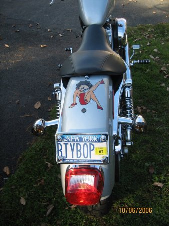 Back View Harley