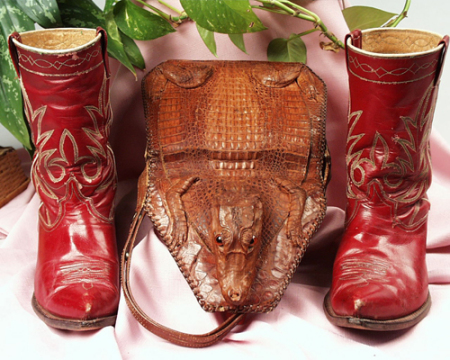 Gator Bag & the Red Boots