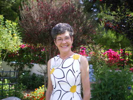 Linda Strohm's Classmates® Profile Photo