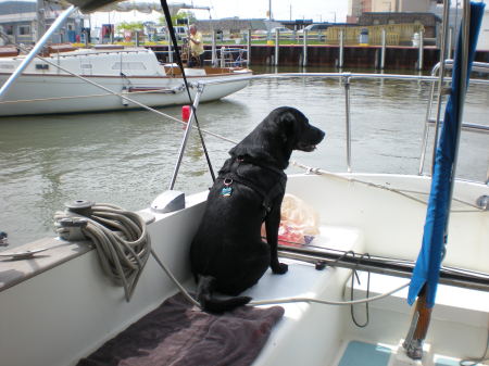 best friend on our boat