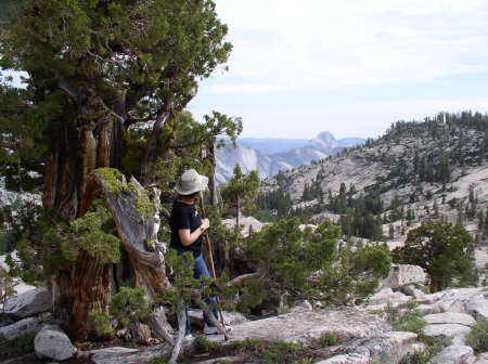 At Yosemite