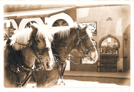 Tombstone Stagecoach Horses