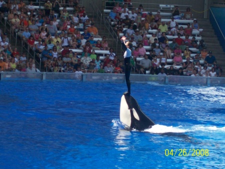 seaworld