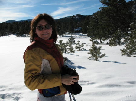 Cross-country skiing in Evergreen, CO