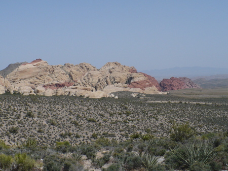 Sheri's Desert View