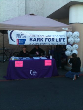 Relay for Life- Bark for Life