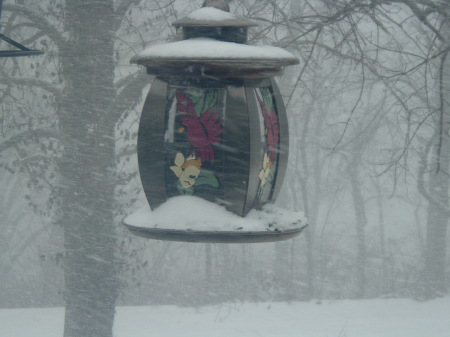 cardinal feeder/lantern