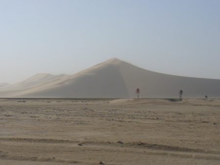 Sand Dunes-Namibia 2006