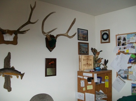 Mans room,complete with computer and TV