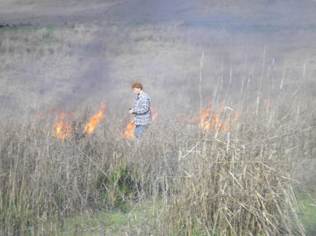 Burning after the first rains